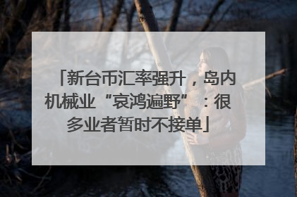 新台币汇率强升，岛内机械业“哀鸿遍野”：很多业者暂时不接单